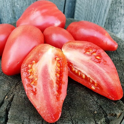 Купить томат Гном Десперадо Отчаянный