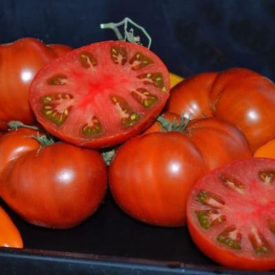 Купить томат Гном Махагони