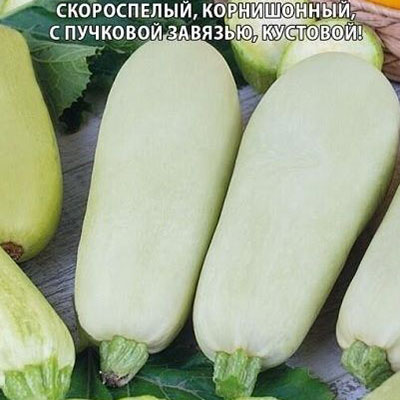 Кабачок Внучок