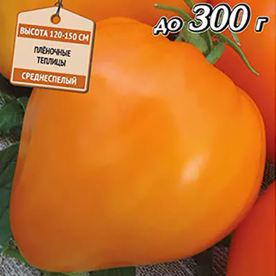 Томат Оранжевое сердце (Лискин нос)