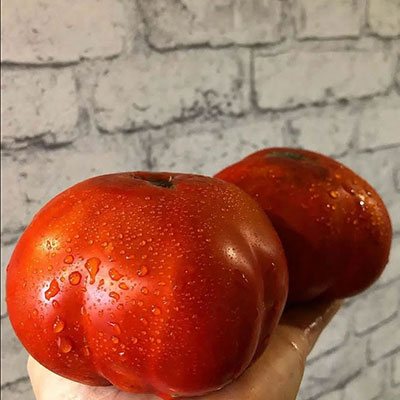 Томат Гигант Фарина