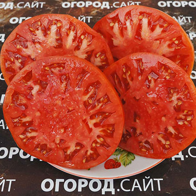 Томат Минусинский крупный
