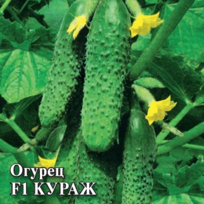 Огурец Кураж F1