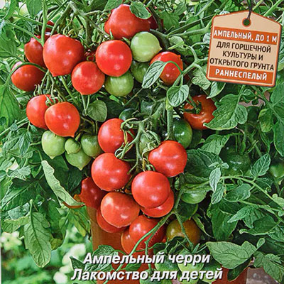 Томат черри Рябиновые бусы
