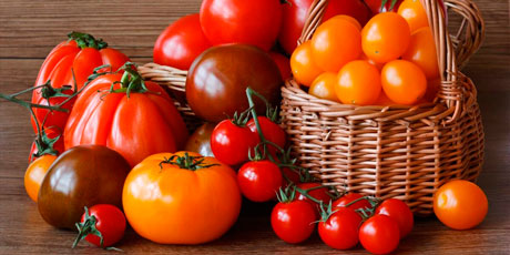 Купить семена томатов: коллекционные, минусинские, Партнер, Аэлита и другие