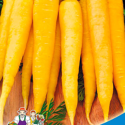 Купить семена Морковь Чудо Чудное желтая