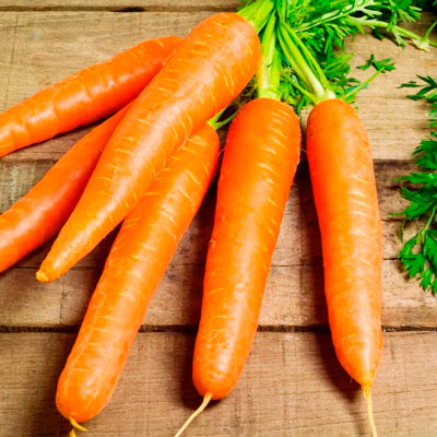 Купить семена Морковь Королева осени в пакетах