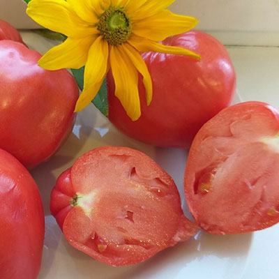 купить семена Томат Орлиное сердце розовый Сибирские томаты