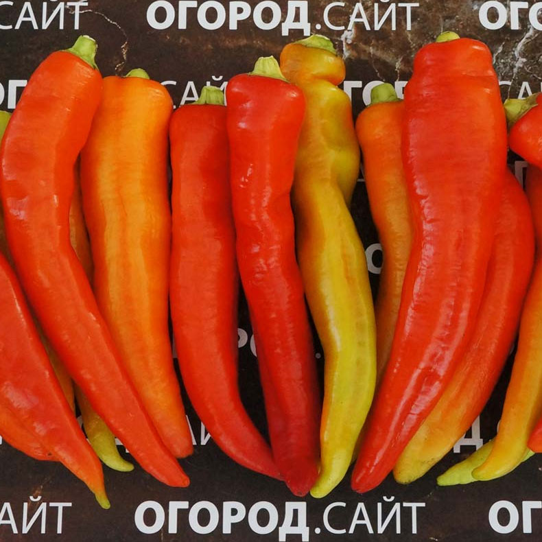 Купить семена Перец Цицак Купить семена Перец Цицак