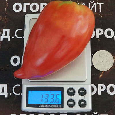 Купить семена Томат Бычье сердце Минусинское кистевое Купить семена Томат Бычье сердце Минусинское кистевое