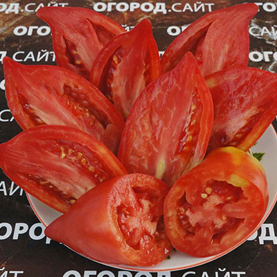 Купить семена Томат Бычье сердце Минусинское кистевое Купить семена Томат Бычье сердце Минусинское кистевое