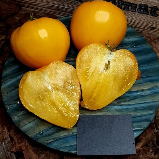 Купить семена Томат Лунный восторг Купить семена Томат Лунный восторг