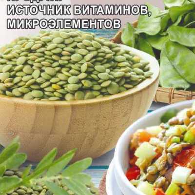 Купить семена Чечевица зеленая Купить семена Чечевица зеленая