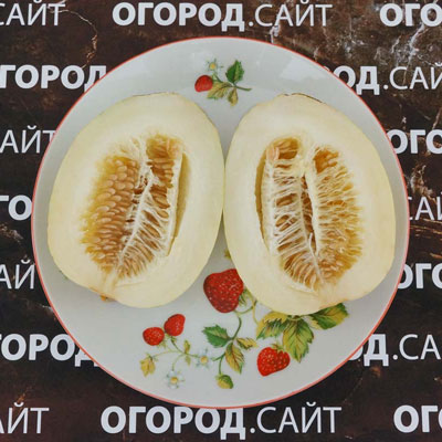 Купить семена Дыня Мечта Сибарита Купить семена Дыня Мечта Сибарита