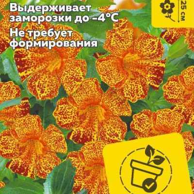 Купить семена Мимулюс Мэджик Желтое пламя Купить семена Мимулюс Мэджик Желтое пламя