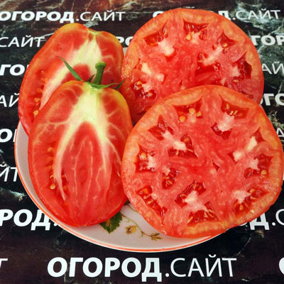 Купить семена Томат Минусинские стаканы розовые Купить семена Томат Минусинские стаканы розовые