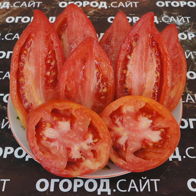 Купить семена Томат Бычье сердце Минусинское кистевое Купить семена Томат Бычье сердце Минусинское кистевое