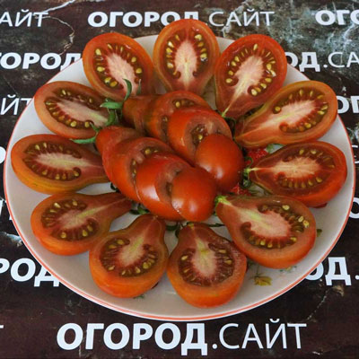 Купить семена Томат Джессика Купить семена Томат Джессика