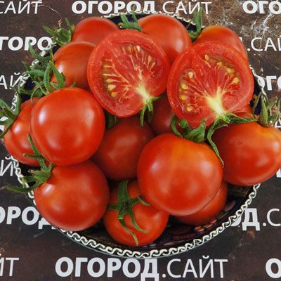 Купить семена Томат Казабалыкский суперранний Купить семена Томат Казабалыкский суперранний