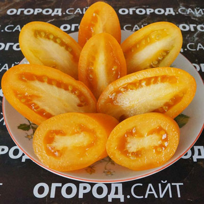 Купить семена Томат Гном Щедрость Лауры Купить семена Томат Гном Щедрость Лауры