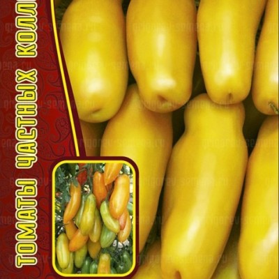 Купить семена Томат Аурия Желтая Купить семена Томат Аурия Желтая