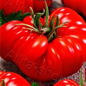 Томат Королевский подарок Томат Королевский подарок