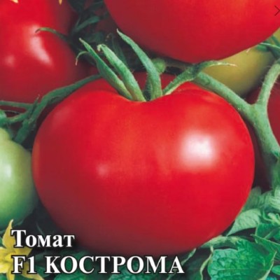 Купить семена Томат Кострома F1 Купить семена Томат Кострома F1