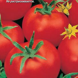 Купить семена Томат Манимейкер Купить семена Томат Манимейкер