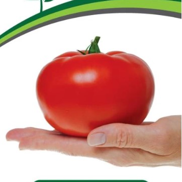 Купить семена Томат Момбаса F1 Купить семена Томат Момбаса F1