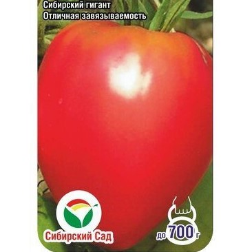 Купить семена Томат Сенсей Купить семена Томат Сенсей