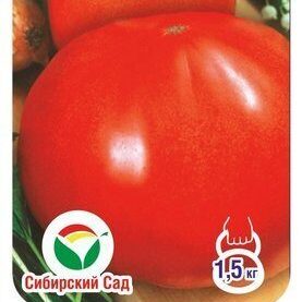 Купить семена Томат Севрюга (Пудовик) Купить семена Томат Севрюга (Пудовик)