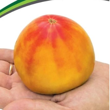 Купить семена Томат Сокровище инков Купить семена Томат Сокровище инков