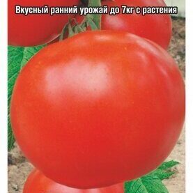 Купить семена Томат Весна F1 Купить семена Томат Весна F1