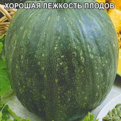 Купить семена тыкву  Витаминная Купить семена тыкву  Витаминная