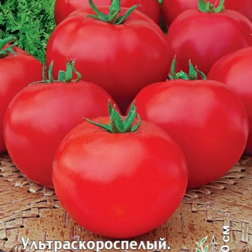 Купить семена Томат Беталюкс Купить семена Томат Беталюкс