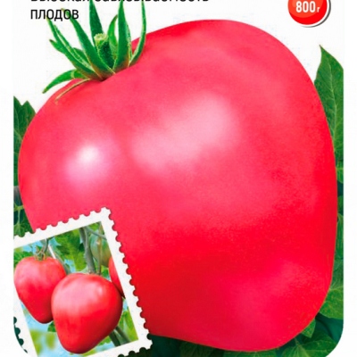 Купить семена Томат Фиделио Купить семена Томат Фиделио