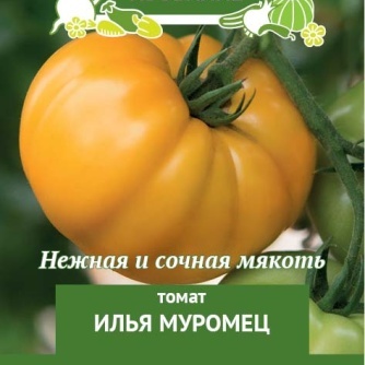 Купить томат Илья Муромец Купить томат Илья Муромец