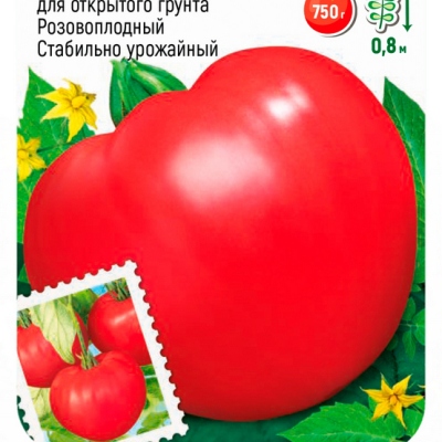 Купить семена Томат Любимый праздник Купить семена Томат Любимый праздник