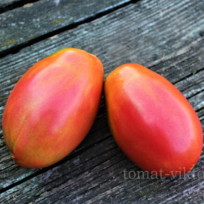 Купить семена Томат Ослиные уши малиновые