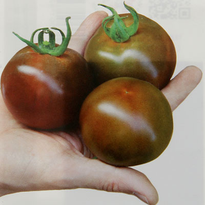 Томат Ашдод F1 (черные томаты) семена - купить с доставкой по России иЕкатеринбургу - интернет магазин семян Томаты Помидоры