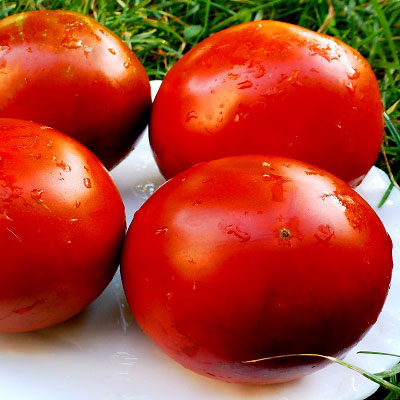 Томат Советский (сибирские томаты) семена - купить с доставкой по России иЕкатеринбургу - интернет магазин семян Томаты Помидоры