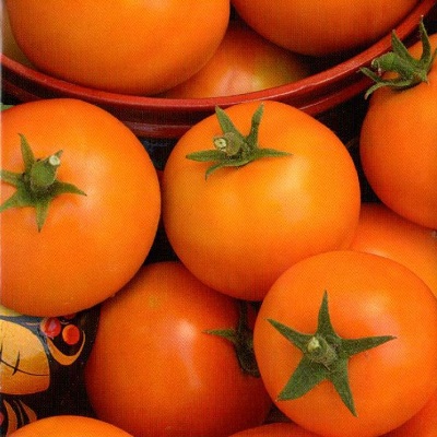 семена томатов очарование