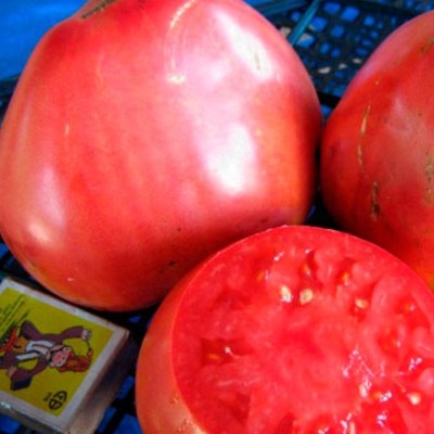Томат Севрюга (Пудовик) (сибирские томаты) семена - купить с доставкой по  России и Екатеринбургу - интернет магазин семян Томаты Помидоры