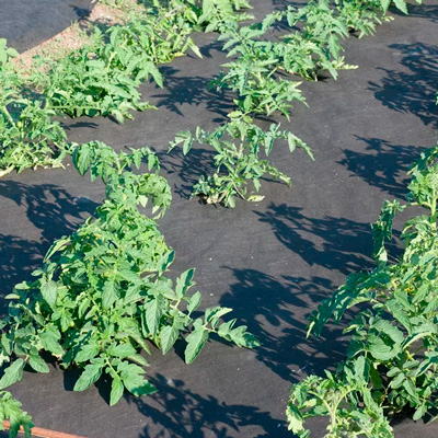 Купить Укрывной материал Listok для томатов, огурцов, капусты перфорированный от сорняков 1.6x10 м