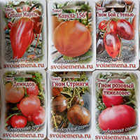 Семена Медведева В.С.