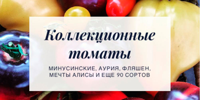 Малинник семена томатов. Коллекционные семена томатов. Семена томатов Гавриш.