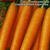 Купить Морковь Нантская в гранулах