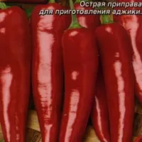 Купить Перец острый Аджика