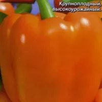 Купить Перец Биг мама