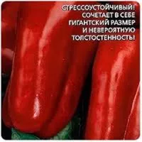 Купить Перец Уральский толстостенный
